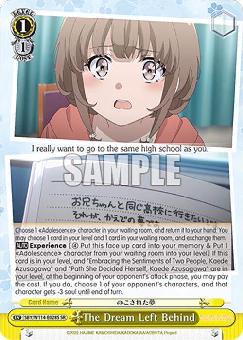 The Dream Left Behind (SBY/W114-E028S SR) [Rascal Does Not Dream Series]