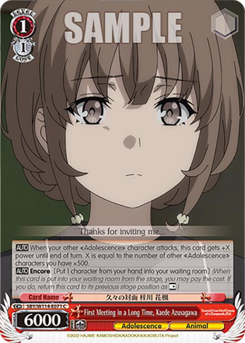 First Meeting in a Long Time, Kaede Azusagawa (SBY/W114-E071 C) [Rascal Does Not Dream Series]
