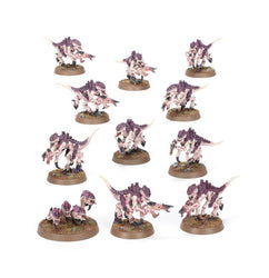 Warhammer 40,000 Introductory Starter Set (Eng)
