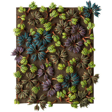 Citadel Barbed Bracken