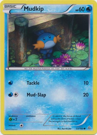 Mudkip (33/160) (Sheen Holo) [XY: Primal Clash]