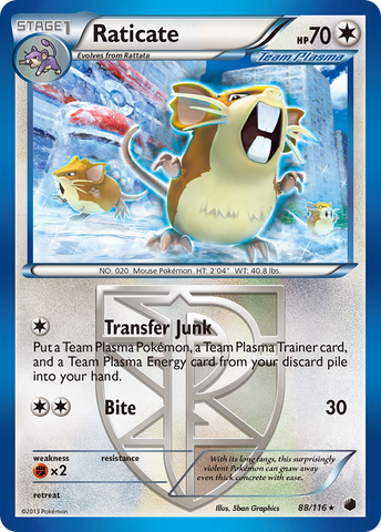 Raticate (88/116) [Black & White: Plasma Freeze]